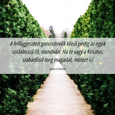Picture 06 - Lukács 23:39 KAR - A felfüggesztett gonosztevõk közül pedig az - Bible Verse Picture