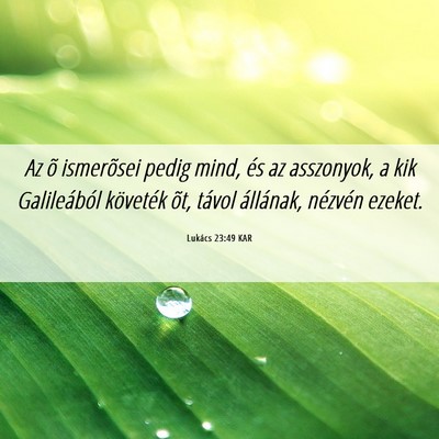 Picture 06 - Lukács 23:49 KAR - Az õ ismerõsei pedig mind, és az asszonyok, a - Bible Verse Picture