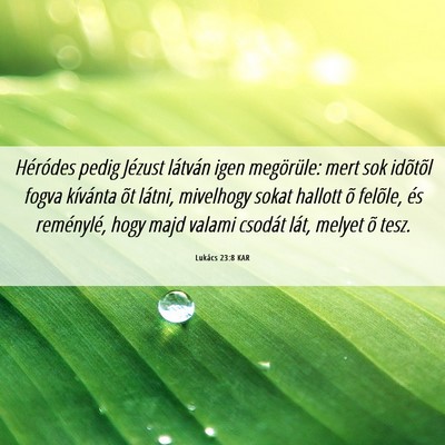 Picture 06 - Lukács 23:8 KAR - Héródes pedig Jézust látván igen megörüle: - Bible Verse Picture