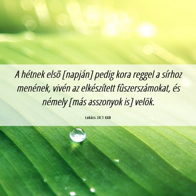 Picture 06 - Lukács 24:1 KAR - A hétnek elsõ [napján] pedig kora reggel a - Bible Verse Picture