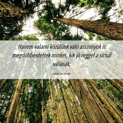 Picture 06 - Lukács 24:22 KAR - Hanem valami közülünk való asszonyok is - Bible Verse Picture