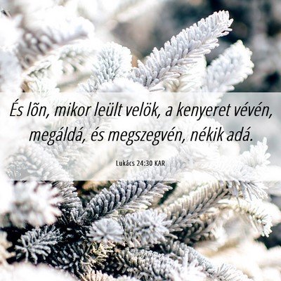 Picture 06 - Lukács 24:30 KAR - És lõn, mikor leült velök, a kenyeret - Bible Verse Picture