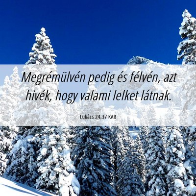 Picture 06 - Lukács 24:37 KAR - Megrémülvén pedig és félvén, azt hivék, - Bible Verse Picture