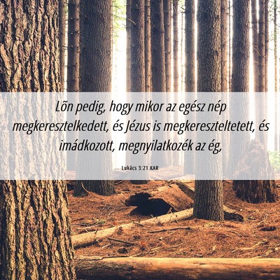 Picture 06 - Lukács 3:21 KAR - Lõn pedig, hogy mikor az egész nép - Bible Verse Picture