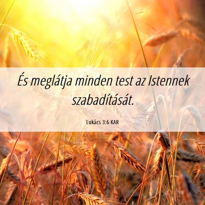 Picture 06 - Lukács 3:6 KAR - És meglátja minden test az Istennek - Bible Verse Picture