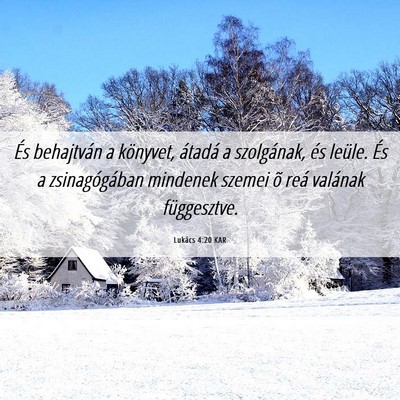 Picture 06 - Lukács 4:20 KAR - És behajtván a könyvet, átadá a szolgának, - Bible Verse Picture