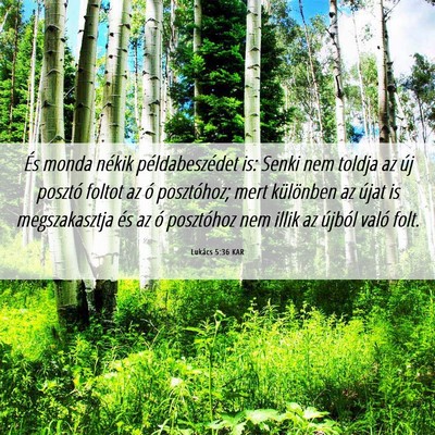 Picture 06 - Lukács 5:36 KAR - És monda nékik példabeszédet is: Senki nem - Bible Verse Picture