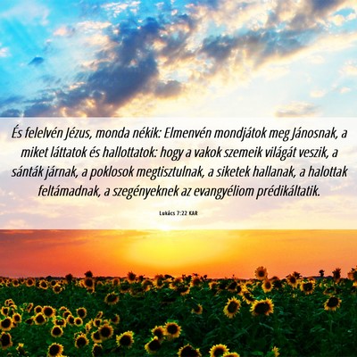 Picture 06 - Lukács 7:22 KAR - És felelvén Jézus, monda nékik: Elmenvén - Bible Verse Picture