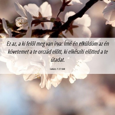 Picture 06 - Lukács 7:27 KAR - Ez az, a ki felõl meg van írva: Ímé én - Bible Verse Picture