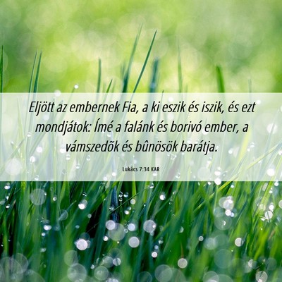Picture 06 - Lukács 7:34 KAR - Eljött az embernek Fia, a ki eszik és iszik, - Bible Verse Picture