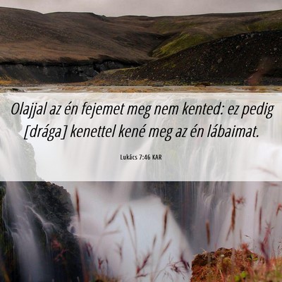 Picture 06 - Lukács 7:46 KAR - Olajjal az én fejemet meg nem kented: ez pedig - Bible Verse Picture