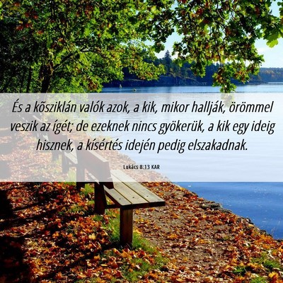 Picture 06 - Lukács 8:13 KAR - És a kõsziklán valók azok, a kik, mikor - Bible Verse Picture