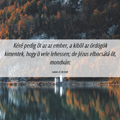 Picture 06 - Lukács 8:38 KAR - Kéré pedig õt az az ember, a kibõl az - Bible Verse Picture