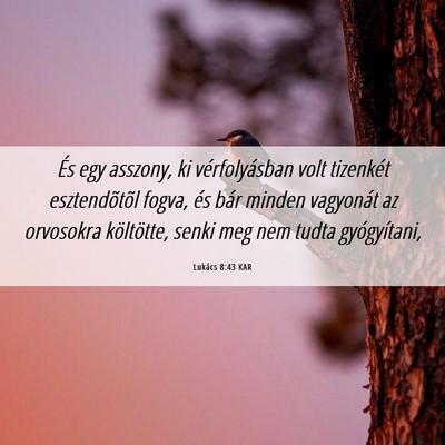 Picture 06 - Lukács 8:43 KAR - És egy asszony, ki vérfolyásban volt tizenkét - Bible Verse Picture