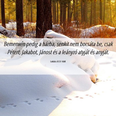Picture 06 - Lukács 8:51 KAR - Bemenvén pedig a házba, senkit nem bocsáta be, - Bible Verse Picture