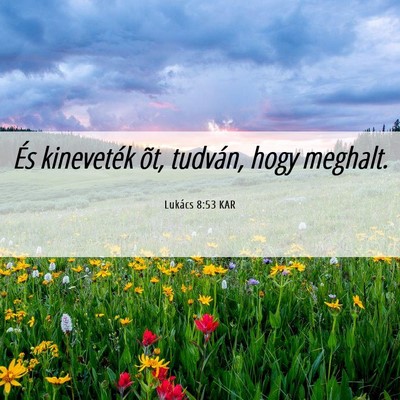 Picture 06 - Lukács 8:53 KAR - És kineveték õt, tudván, hogy - Bible Verse Picture