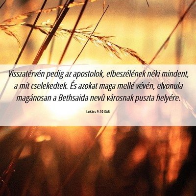 Picture 06 - Lukács 9:10 KAR - Visszatérvén pedig az apostolok, elbeszélének - Bible Verse Picture
