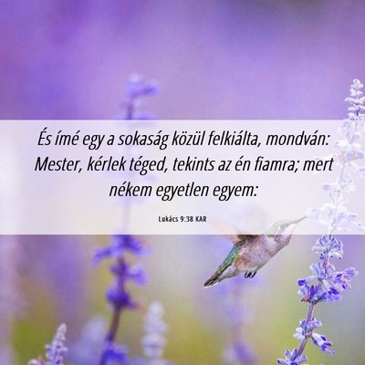 Picture 06 - Lukács 9:38 KAR - És ímé egy a sokaság közül felkiálta, - Bible Verse Picture