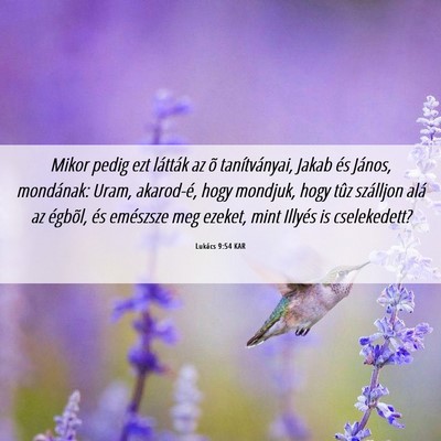 Picture 06 - Lukács 9:54 KAR - Mikor pedig ezt látták az õ tanítványai, - Bible Verse Picture
