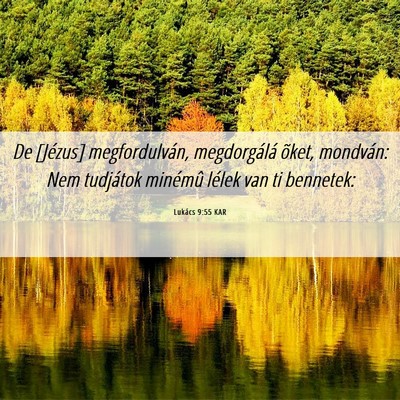 Picture 06 - Lukács 9:55 KAR - De [Jézus] megfordulván, megdorgálá õket, - Bible Verse Picture