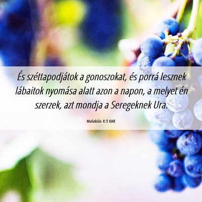 Picture 06 - Malakiás 4:3 KAR - És széttapodjátok a gonoszokat, és porrá - Bible Verse Picture