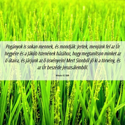 Picture 06 - Mikeás 4:2 KAR - Pogányok is sokan mennek, és mondják: Jertek, - Bible Verse Picture