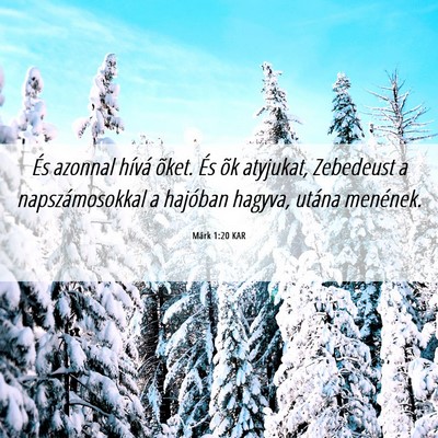 Picture 06 - Márk 1:20 KAR - És azonnal hívá õket. És õk atyjukat, - Bible Verse Picture
