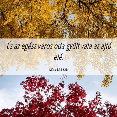 Picture 06 - Márk 1:33 KAR - És az egész város oda gyûlt vala az ajtó - Bible Verse Picture