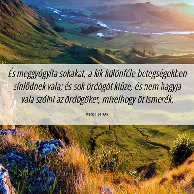 Picture 06 - Márk 1:34 KAR - És meggyógyíta sokakat, a kik különféle - Bible Verse Picture