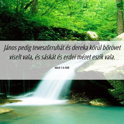 Picture 06 - Márk 1:6 KAR - János pedig teveszõrruhát és dereka körül - Bible Verse Picture