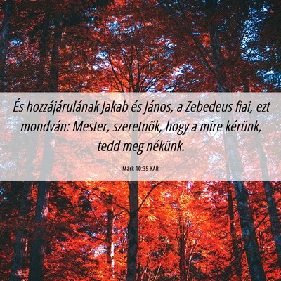Picture 06 - Márk 10:35 KAR - És hozzájárulának Jakab és János, a - Bible Verse Picture