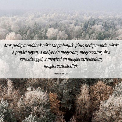 Picture 06 - Márk 10:39 KAR - Azok pedig mondának néki: Megtehetjük. Jézus - Bible Verse Picture
