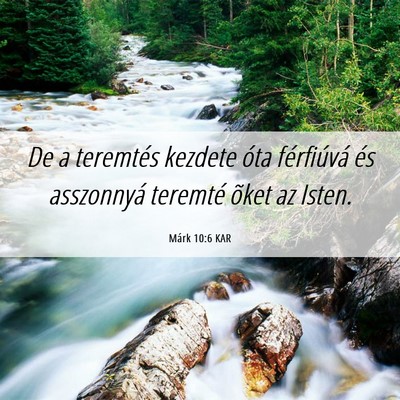Picture 06 - Márk 10:6 KAR - De a teremtés kezdete óta férfiúvá és - Bible Verse Picture