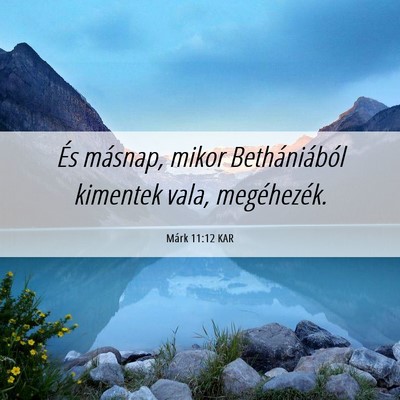 Picture 06 - Márk 11:12 KAR - És másnap, mikor Bethániából kimentek vala, - Bible Verse Picture