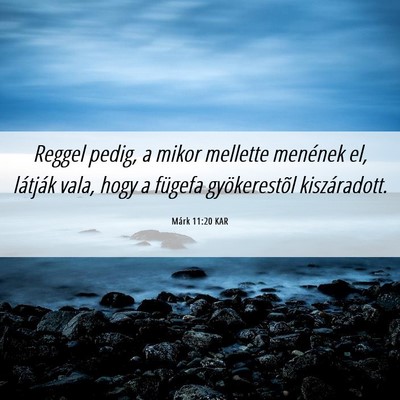 Picture 06 - Márk 11:20 KAR - Reggel pedig, a mikor mellette menének el, - Bible Verse Picture