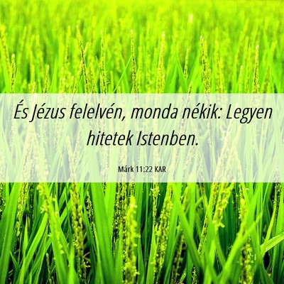 Picture 06 - Márk 11:22 KAR - És Jézus felelvén, monda nékik: Legyen - Bible Verse Picture