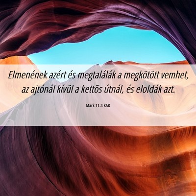 Picture 06 - Márk 11:4 KAR - Elmenének azért és megtalálák a megkötött - Bible Verse Picture