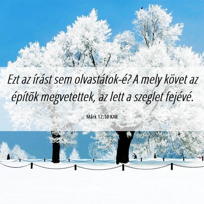 Picture 06 - Márk 12:10 KAR - Ezt az írást sem olvastátok-é? A mely követ - Bible Verse Picture