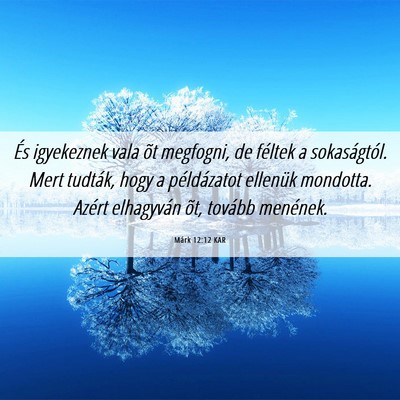 Picture 06 - Márk 12:12 KAR - És igyekeznek vala õt megfogni, de féltek a - Bible Verse Picture