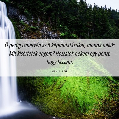Picture 06 - Márk 12:15 KAR - Õ pedig ismervén az õ képmutatásukat, monda - Bible Verse Picture