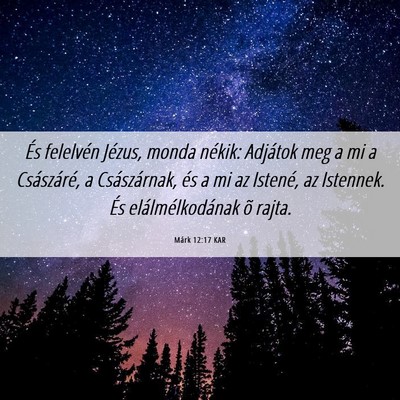 Picture 06 - Márk 12:17 KAR - És felelvén Jézus, monda nékik: Adjátok meg - Bible Verse Picture