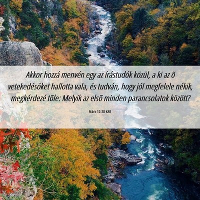 Picture 06 - Márk 12:28 KAR - Akkor hozzá menvén egy az írástudók közül, - Bible Verse Picture