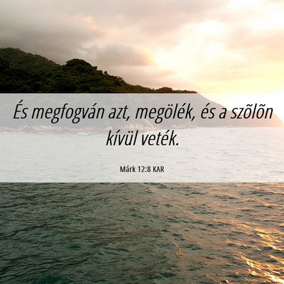 Picture 06 - Márk 12:8 KAR - És megfogván azt, megölék, és a szõlõn - Bible Verse Picture