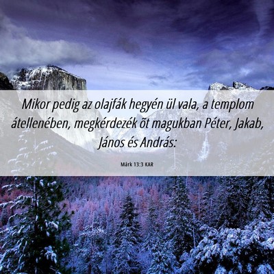 Picture 06 - Márk 13:3 KAR - Mikor pedig az olajfák hegyén ül vala, a - Bible Verse Picture