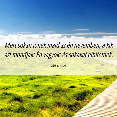 Picture 06 - Márk 13:6 KAR - Mert sokan jõnek majd az én nevemben, a kik azt - Bible Verse Picture