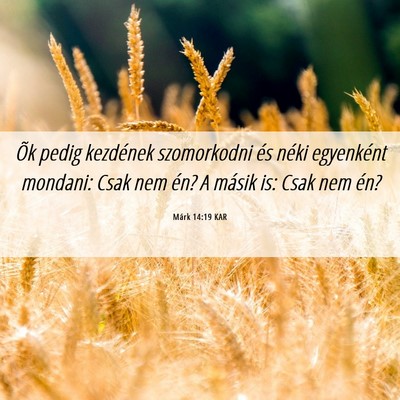 Picture 06 - Márk 14:19 KAR - Õk pedig kezdének szomorkodni és néki - Bible Verse Picture