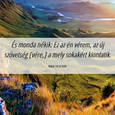 Picture 06 - Márk 14:24 KAR - És monda nékik: Ez az én vérem, az új - Bible Verse Picture