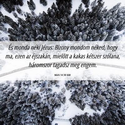 Picture 06 - Márk 14:30 KAR - És monda néki Jézus: Bizony mondom néked, - Bible Verse Picture