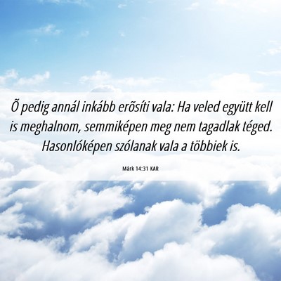 Picture 06 - Márk 14:31 KAR - Õ pedig annál inkább erõsíti vala: Ha veled - Bible Verse Picture