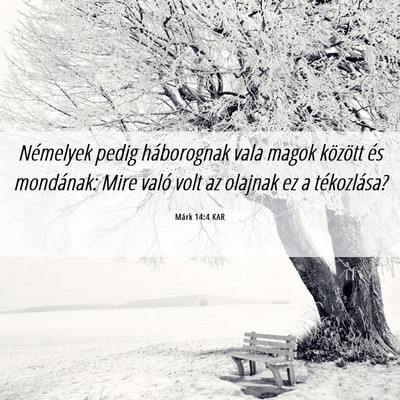 Picture 06 - Márk 14:4 KAR - Némelyek pedig háborognak vala magok között - Bible Verse Picture
